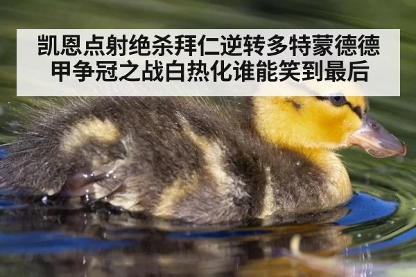 凯恩点射绝杀拜仁逆转多特蒙德德甲争冠之战白热化谁能笑到最后