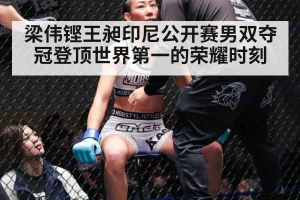 梁伟铿王昶印尼公开赛男双夺冠登顶世界第一的荣耀时刻