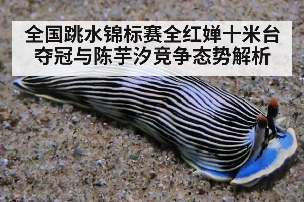 全国跳水锦标赛全红婵十米台夺冠与陈芋汐竞争态势解析